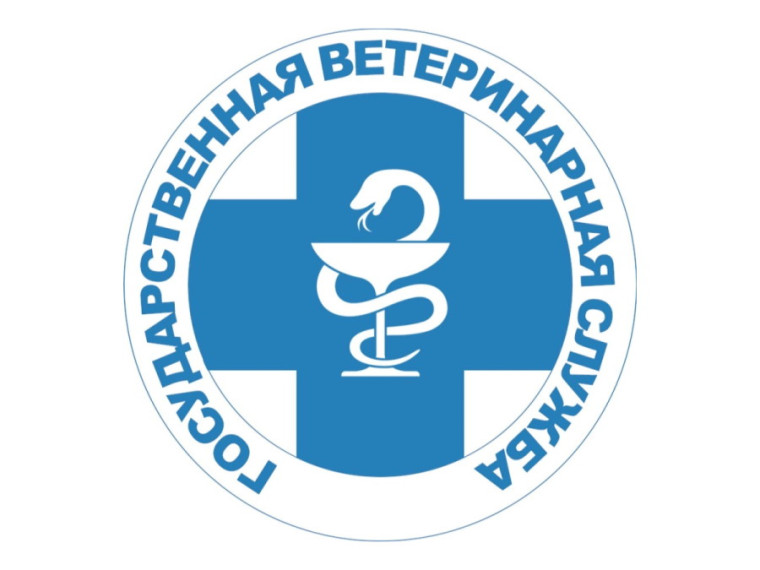 Лейкоз крупного рогатого скота. Лейкоз крупного рогатого скота.